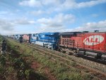 RUMO 9598